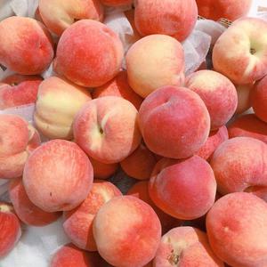 操黑妹浪逼视频
